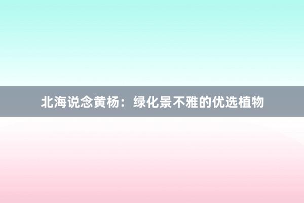 北海说念黄杨：绿化景不雅的优选植物