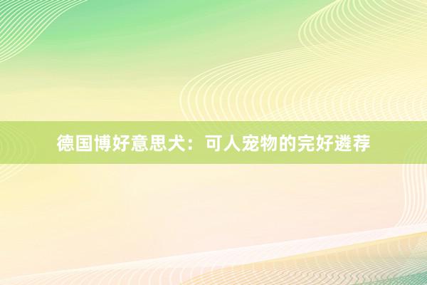 德国博好意思犬:可人宠物的完好遴荐